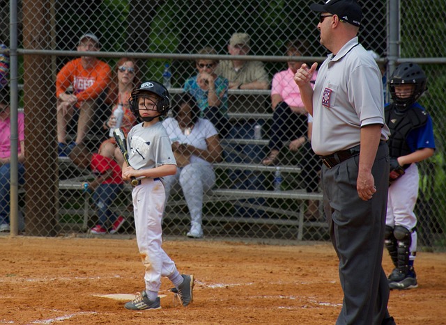 内蒙古的这 内蒙古的这